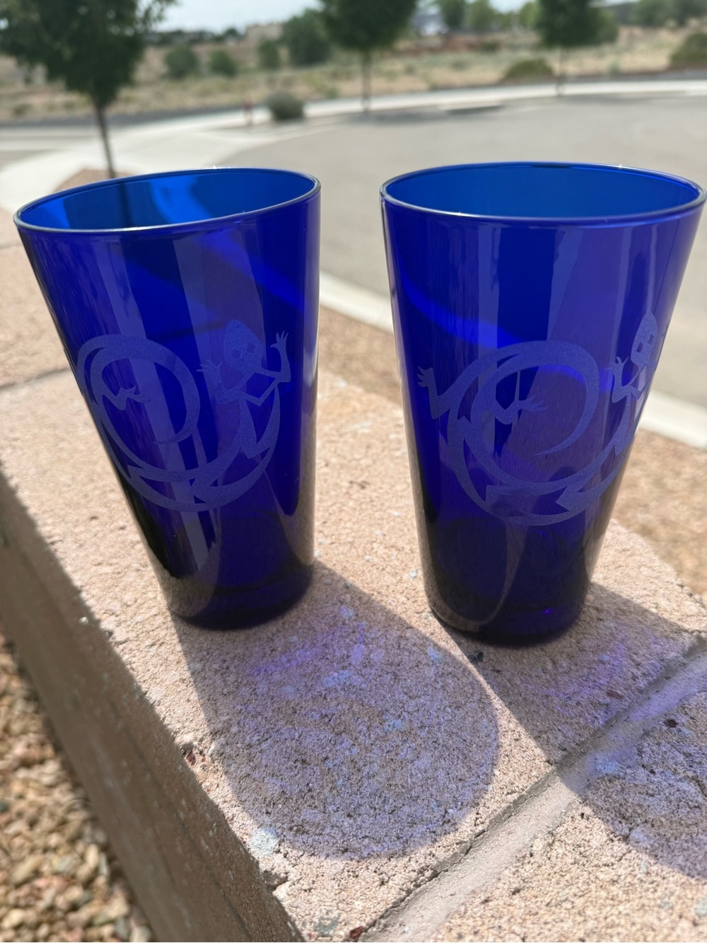 Cobalt Blue Etched Glass Tumblers Set of 2 - Salamander Sandblasted Design 6”